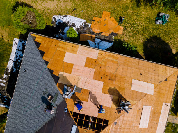 Best Metal Roofing Contractor  in Seagraves, TX